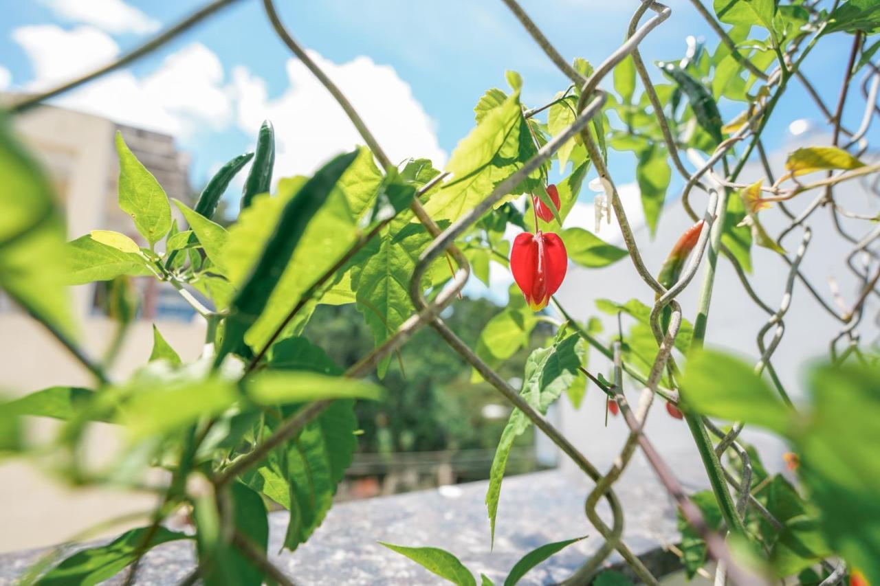 Khach San Thai Ha Dalat Eksteriør bilde